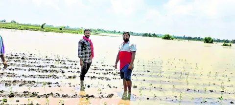 సద్దు