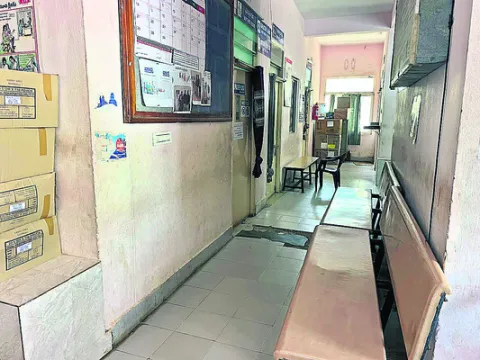 వైద్య