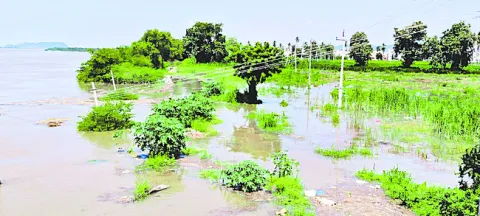 పంట పొలాల్లోకి వరద నీరు 

