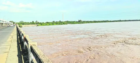 నిలకడగా గోదారి 