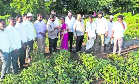ఎకరాకు రూ.50 వేలు చెల్లించాలి 