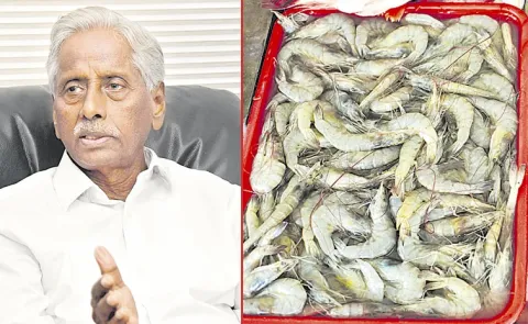 Sagubadi: Aqua Scientist Dr Vijay Gupta Interview with Sakshi