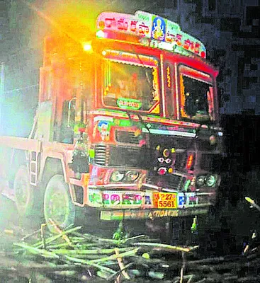 మహిళా కూలీ మృతి 
