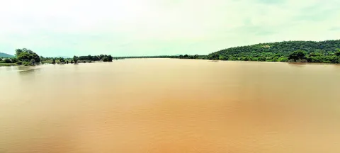 తాలిపేరుకు వరద ఉధృతి