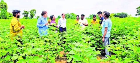 పరిశోధన ఫలితాలు రైతులకు చేరాలి
