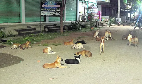 బెంబే