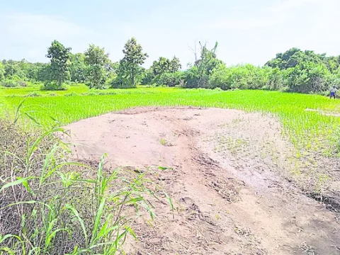 నష్టం