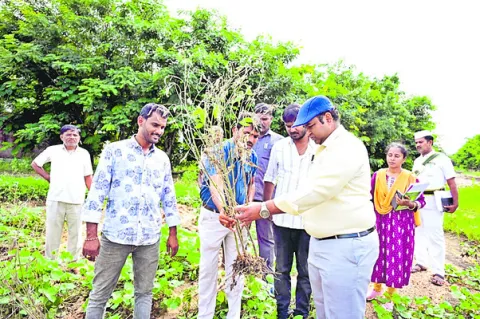 త్వరితగతిన నష్టం అంచనాలు