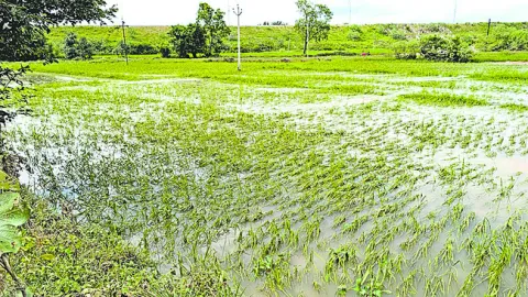 ఆశలపై