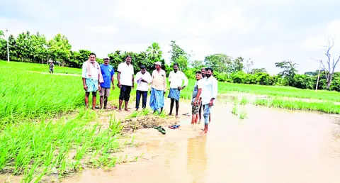 పంట నష్టంపై క్షేత్రస్థాయిలో సర్వే