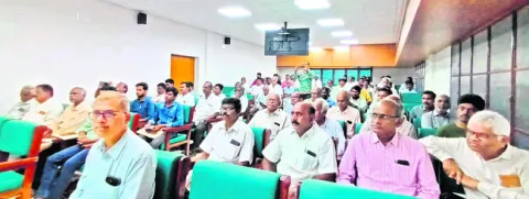 టింబర్‌ ఉడ్‌ ప్లాంటేషన్‌పై దృష్టిసారించండి 