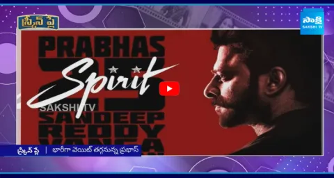 Prabhas Spirit Movie Story Leak 1
