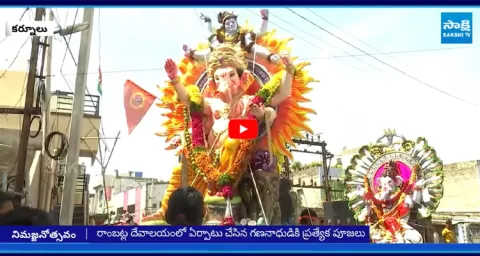 Ganesh Immersion in Kurnool 1