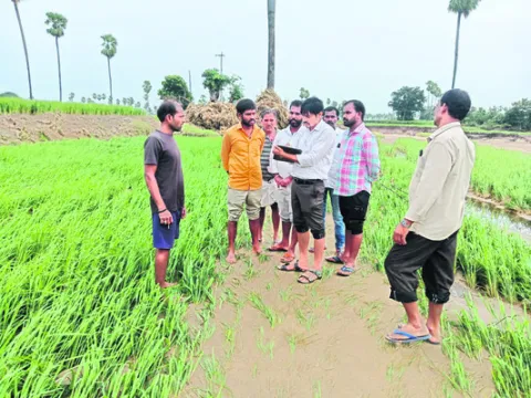 అసలు నష్టం ఎంత!