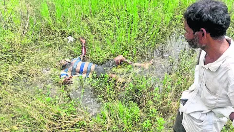 పంట పొలంలో గుర్తు తెలియని మృతదేహం 