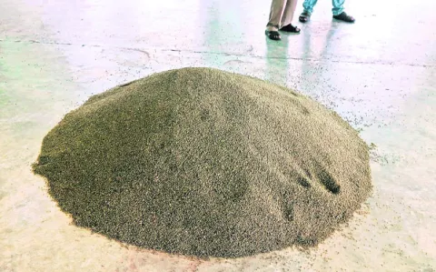 పెసర్