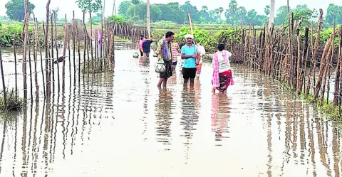 కన్నీ