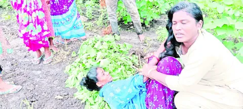 పోడు సాగు వివాదం