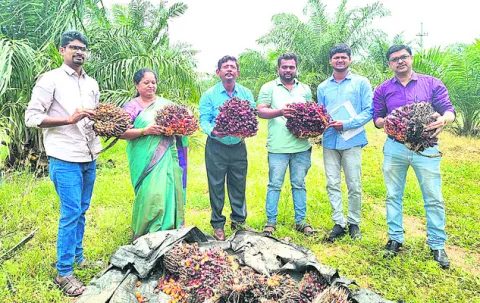 రైతు ఇంట.. కొత్త పంట
