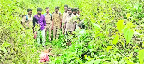 చిరుత దాడిలో దూడ మృతి 