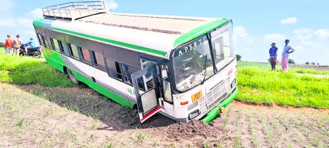 పొలాల