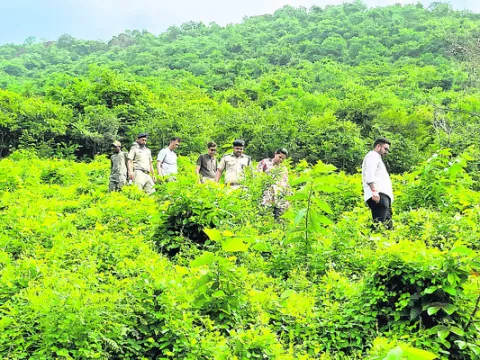 మహేంద
