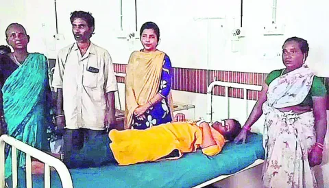 రైలు 