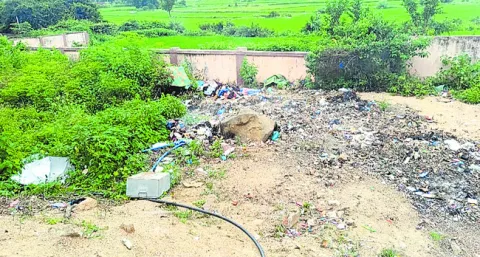 వామ్మ