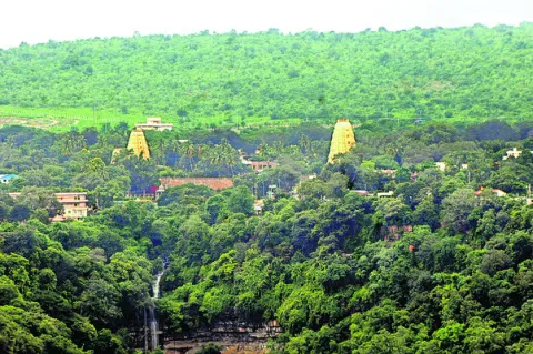పర్యాటకం అభివృద్ధికి మార్గాలెన్నో..