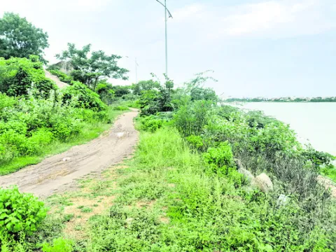 కలగాన