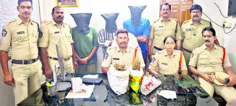 గంజాయి కేసులో ముగ్గురి అరెస్ట్‌ 
