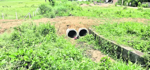 కల్వర