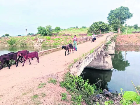 ●కొణిజర్లలో.. 