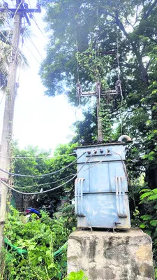 పరిహా