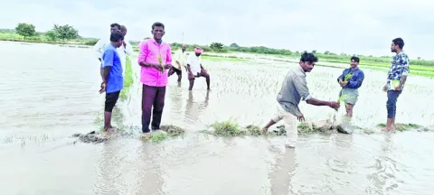 నష్ట 