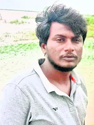 వరి న