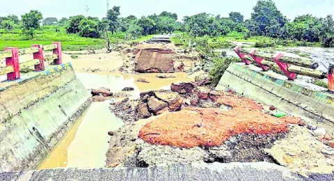 శాశ్వ