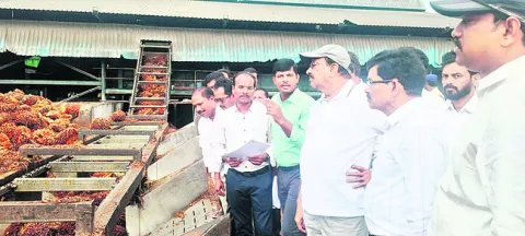 తెలుగు రాష్ట్రాల్లోనే అధికంగా సాగు