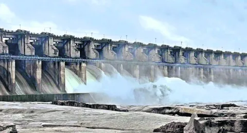 ఎస్సా