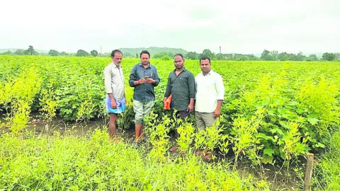 పక్కాగా సాగు లెక్క