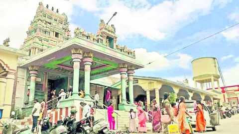 న్యూస