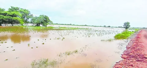 రైతుల