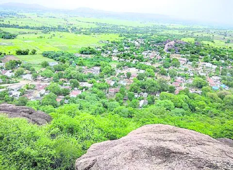 పల్లెపాలనపై పట్టుకు.. 