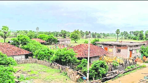 జీపీఓ