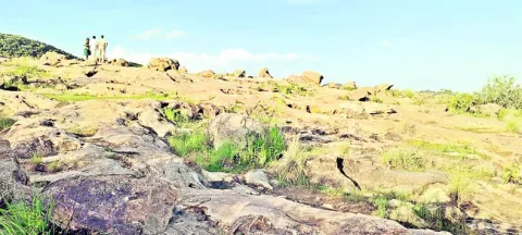 ‘ఎద్ద