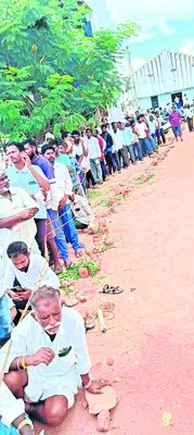 యూరియ