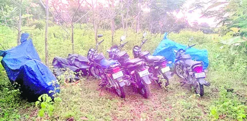 గ్రామ