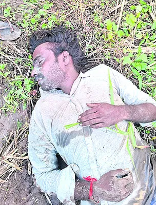 బాసర 
