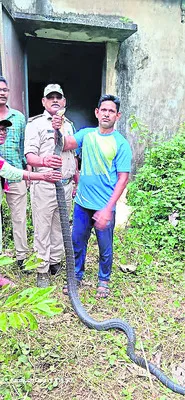 భయపెట