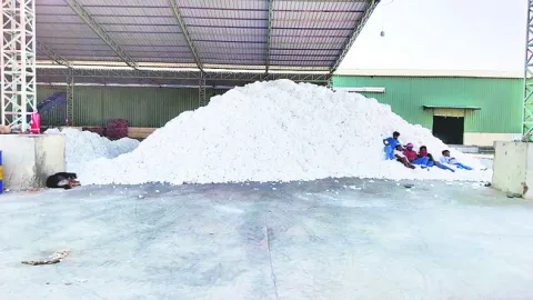 పత్తికి టెం‘డర్‌’ కత్తి